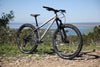 Fairdale Elevator 29" Hardtail MTB (Gloss Battleship Gray in M or L)