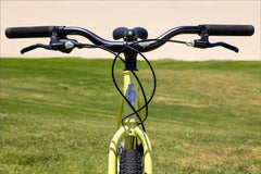 Fairdale Weekender Archer (Gloss Lemon Grass in XS-XL)