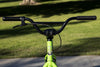 Fairdale Macaroni 24" (Cowabunga Green)