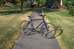 Fairdale Ridgemont (Purple Rain in S/M & M/L)